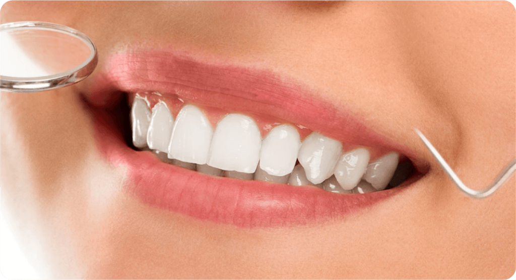 DentaSmile Pro Categories image